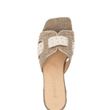 Joni | Gold/Taupe/Beige Flip-Flops