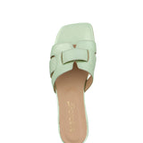 Sun | Slipper Mint