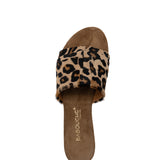 Moon | Slipper Leopard
