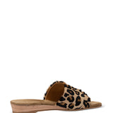 Moon | Slipper Leopard